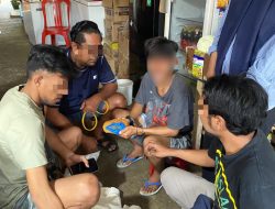 Polda Malut Ungkap Pengiriman Ganja via Jasa Pengiriman, Satu Orang Diamankan