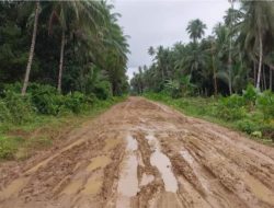 Ini Paket Abang Opo, Pengakuan Direktur Bongkar Dugaan Permainan Proyek Rp 3,3 Miliar di Malut