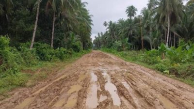 Ini Paket Abang Opo, Pengakuan Direktur Bongkar Dugaan Permainan Proyek Rp 3,3 Miliar di Malut