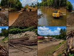 Desakan Copot PPK BWS Malut Menguat, Dugaan Kayu Mangrove Ilegal dalam Proyek APBN Dinilai Cederai Tata Kelola Negara