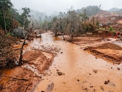 Dari Kukuba ke Opyang, Alarm Lingkungan Kembali Berbunyi di Haltim