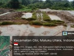 Audit BPK Buka Dugaan Pelanggaran Tambang Emas di Anggai, LPP Tipikor Minta Kejati Bergerak